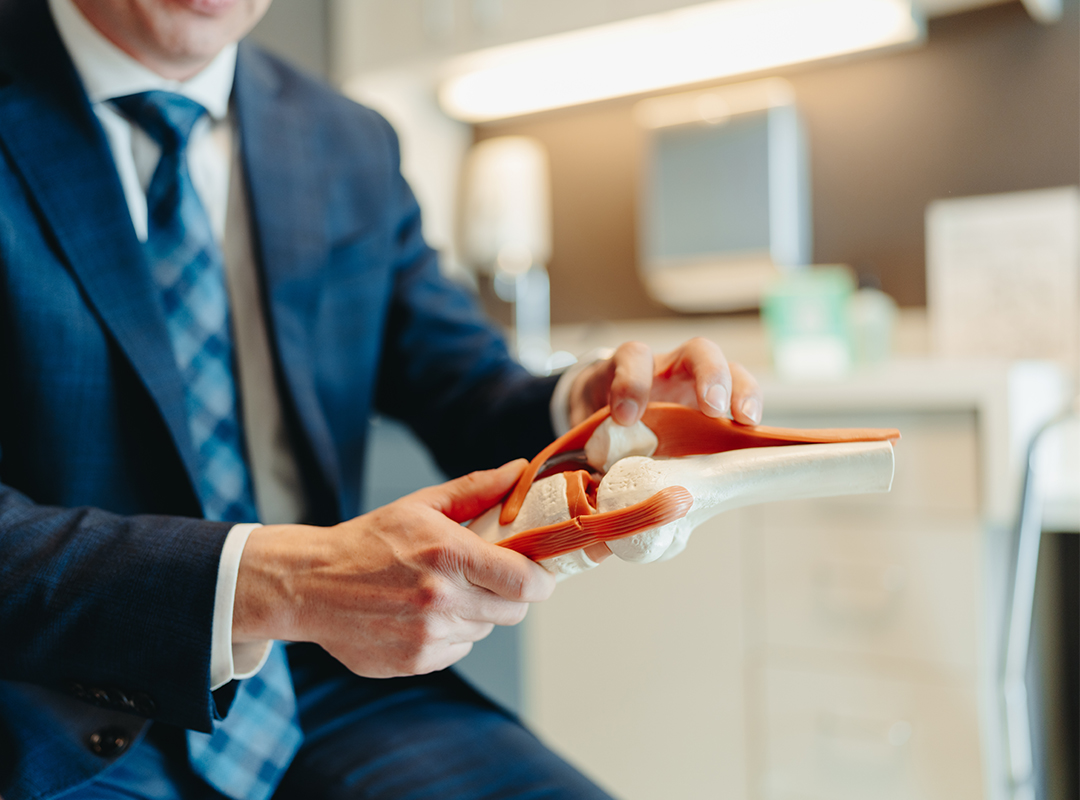 doctor holding model of knee