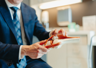 doctor holding model of knee