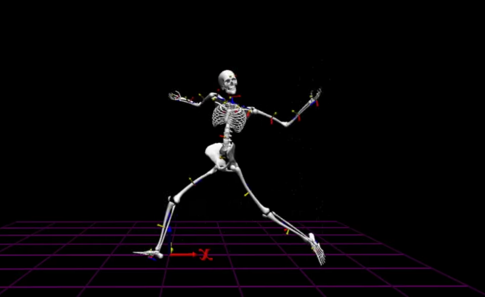 motion analysis