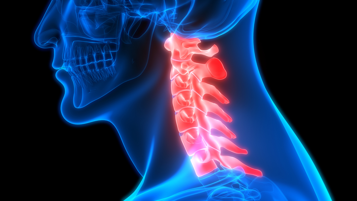 cervical spine anatomy