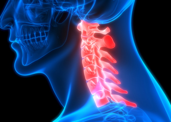 cervical spine anatomy